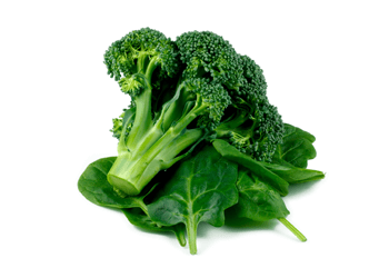 Folate image