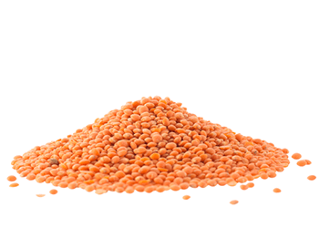 Lentils image