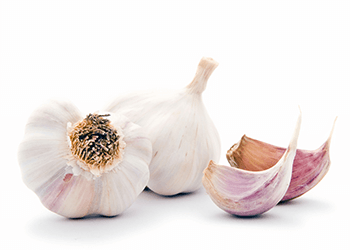 Garlic image