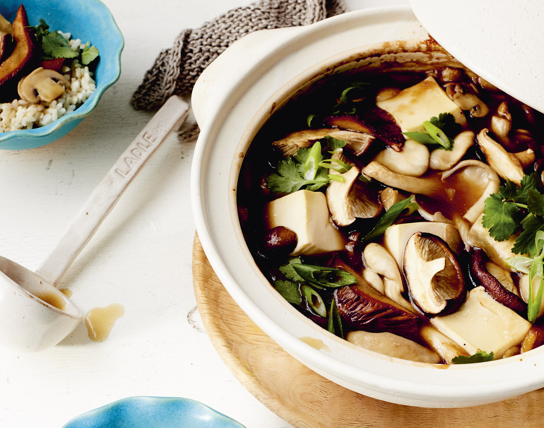 Mixed Mushroom and Vegetable Hot Pot — easypeasyjapanesey