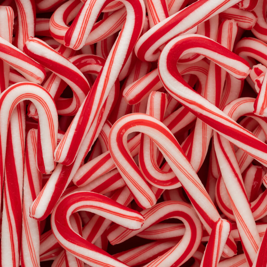 Close up image of many red and white candy canes.