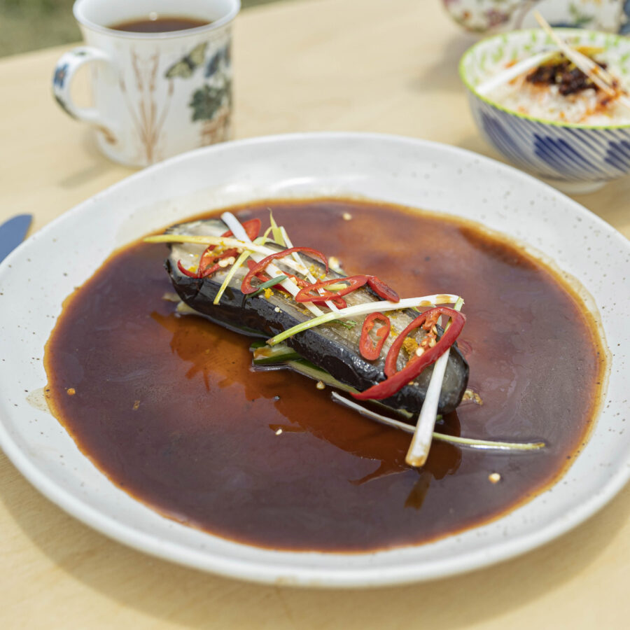 Braised Eggplant with dark stock in a plate
